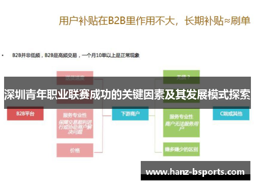深圳青年职业联赛成功的关键因素及其发展模式探索