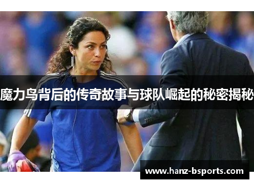 魔力鸟背后的传奇故事与球队崛起的秘密揭秘