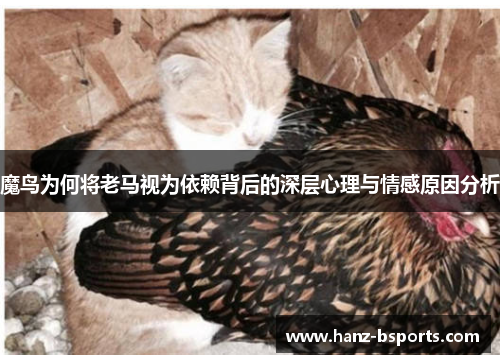 魔鸟为何将老马视为依赖背后的深层心理与情感原因分析 魔鸟为何将老马视为依赖背后的深层心理与情感原因分析
